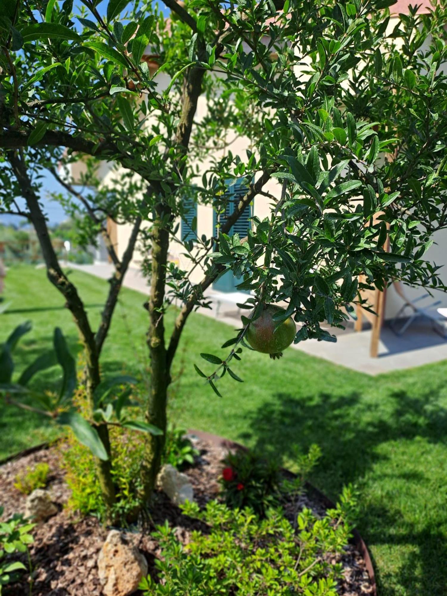 La Campagna Di Peppe E Tullia Bed and Breakfast Formia Exteriör bild