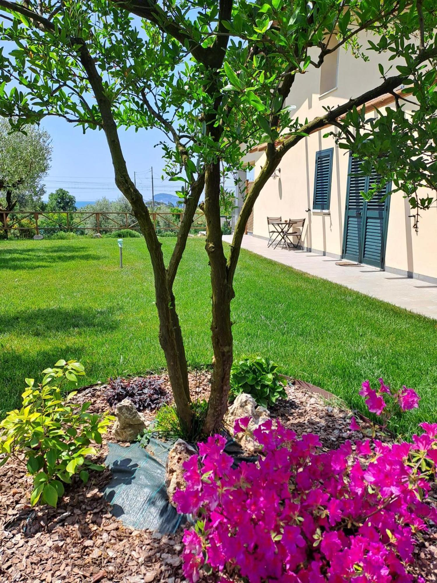 La Campagna Di Peppe E Tullia Bed and Breakfast Formia Exteriör bild