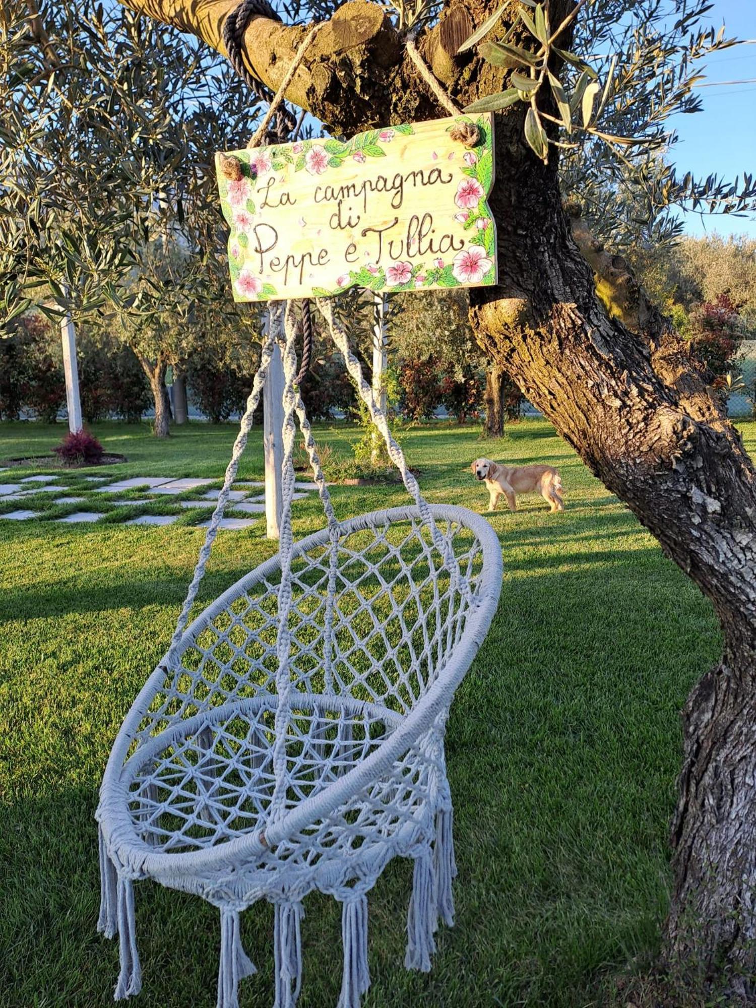 La Campagna Di Peppe E Tullia Bed and Breakfast Formia Exteriör bild